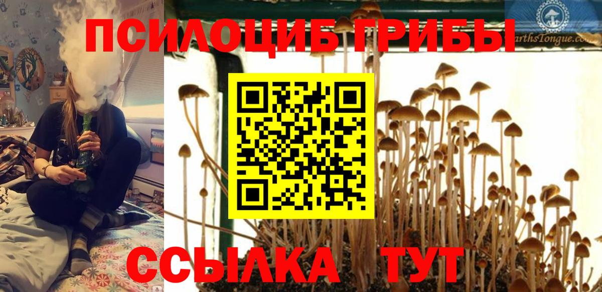 Псилоцибиновые грибы GOLDEN TEACHER  Вход с VPN  Луховицы 